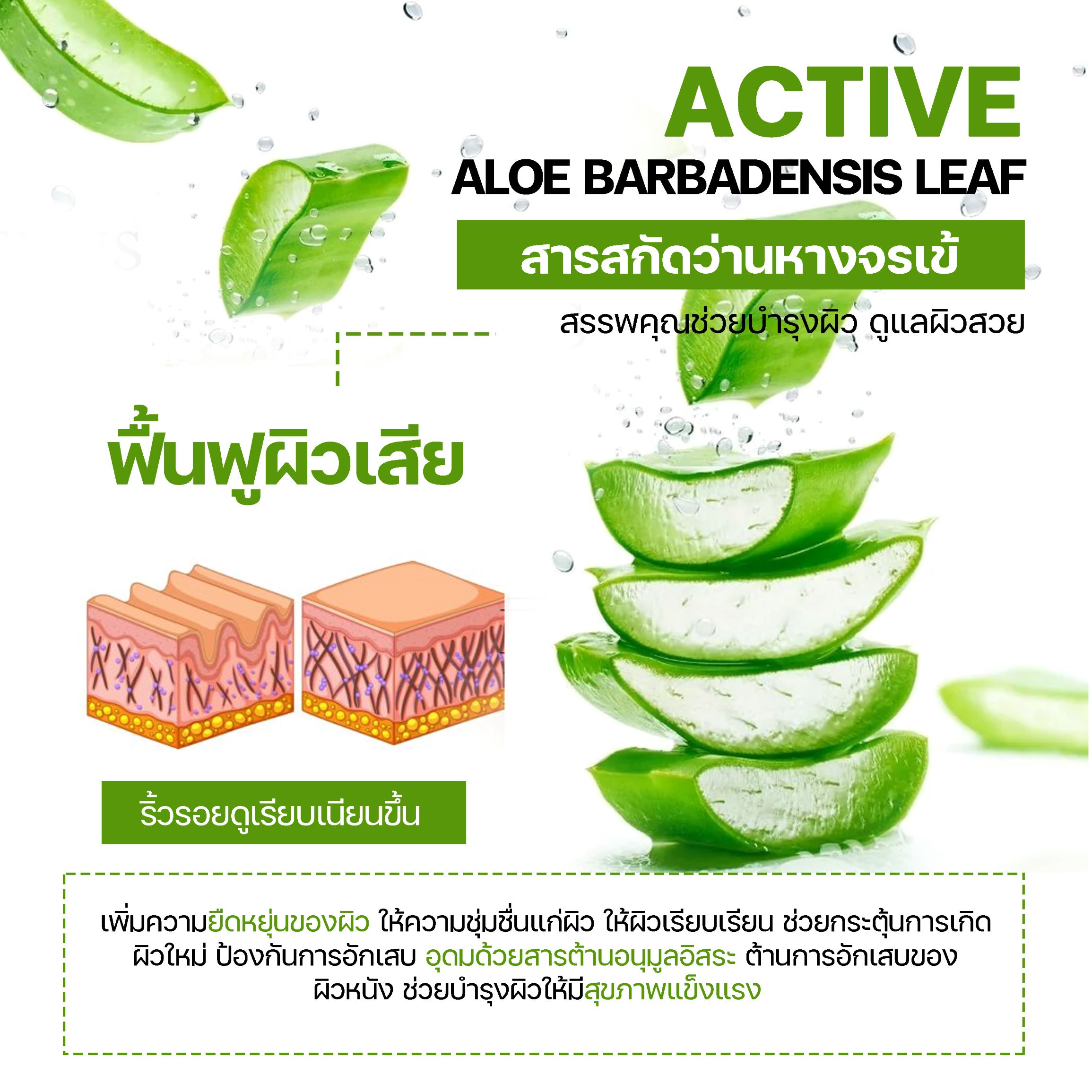 สารสกัดว่านหางจระเข้