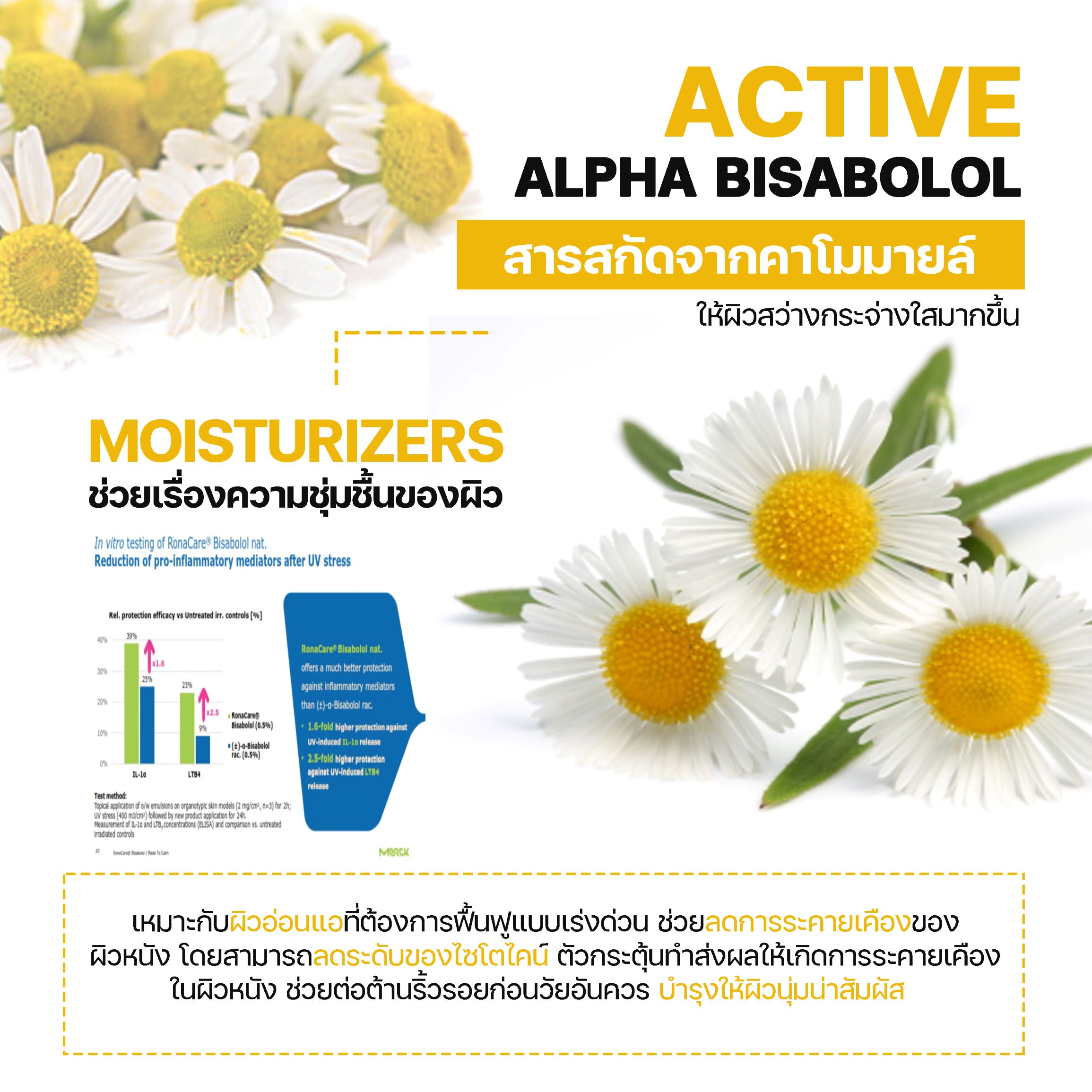 สารสกัดดอกดาวเรือง