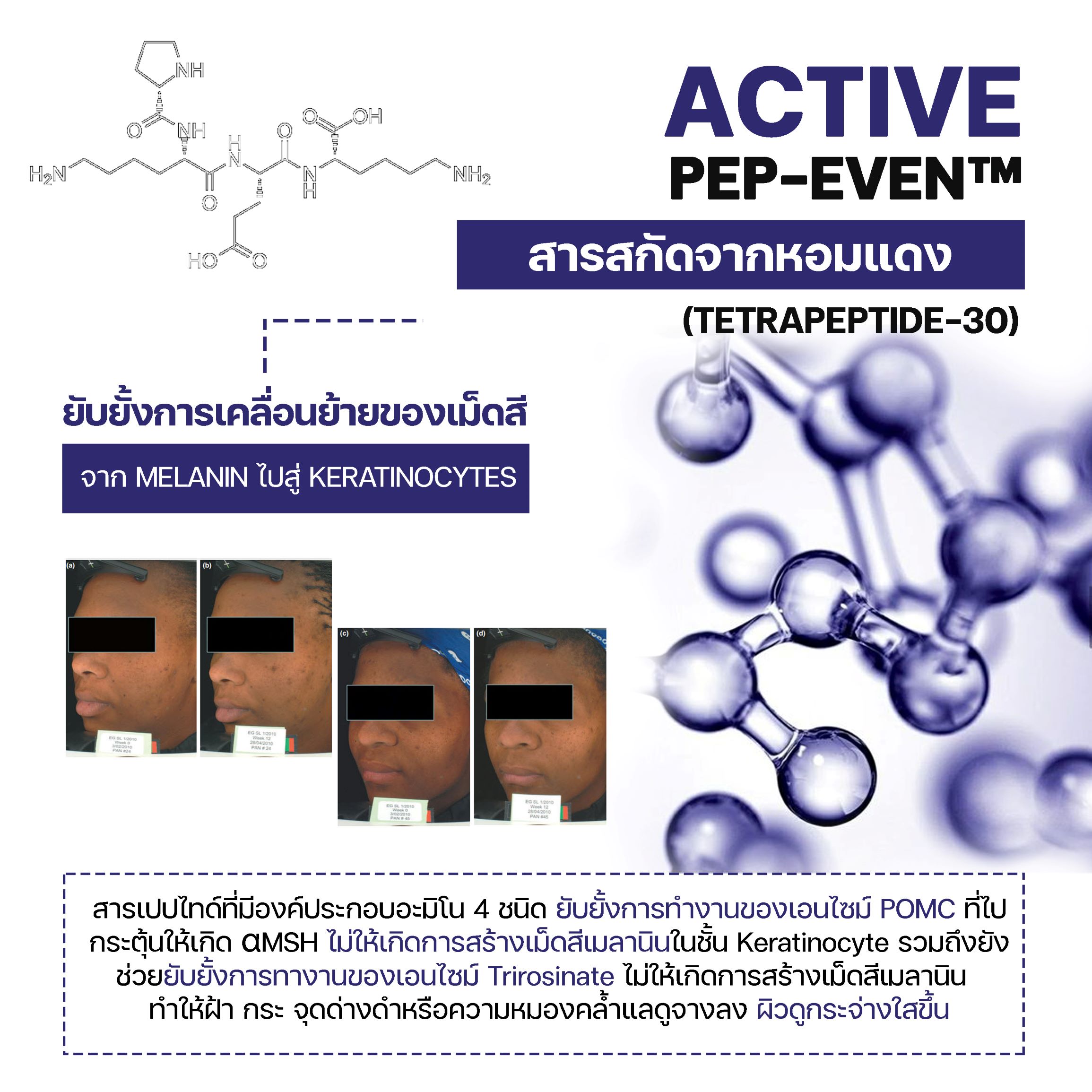 สารสกัดลดฝ้า Tetrapeptide-30