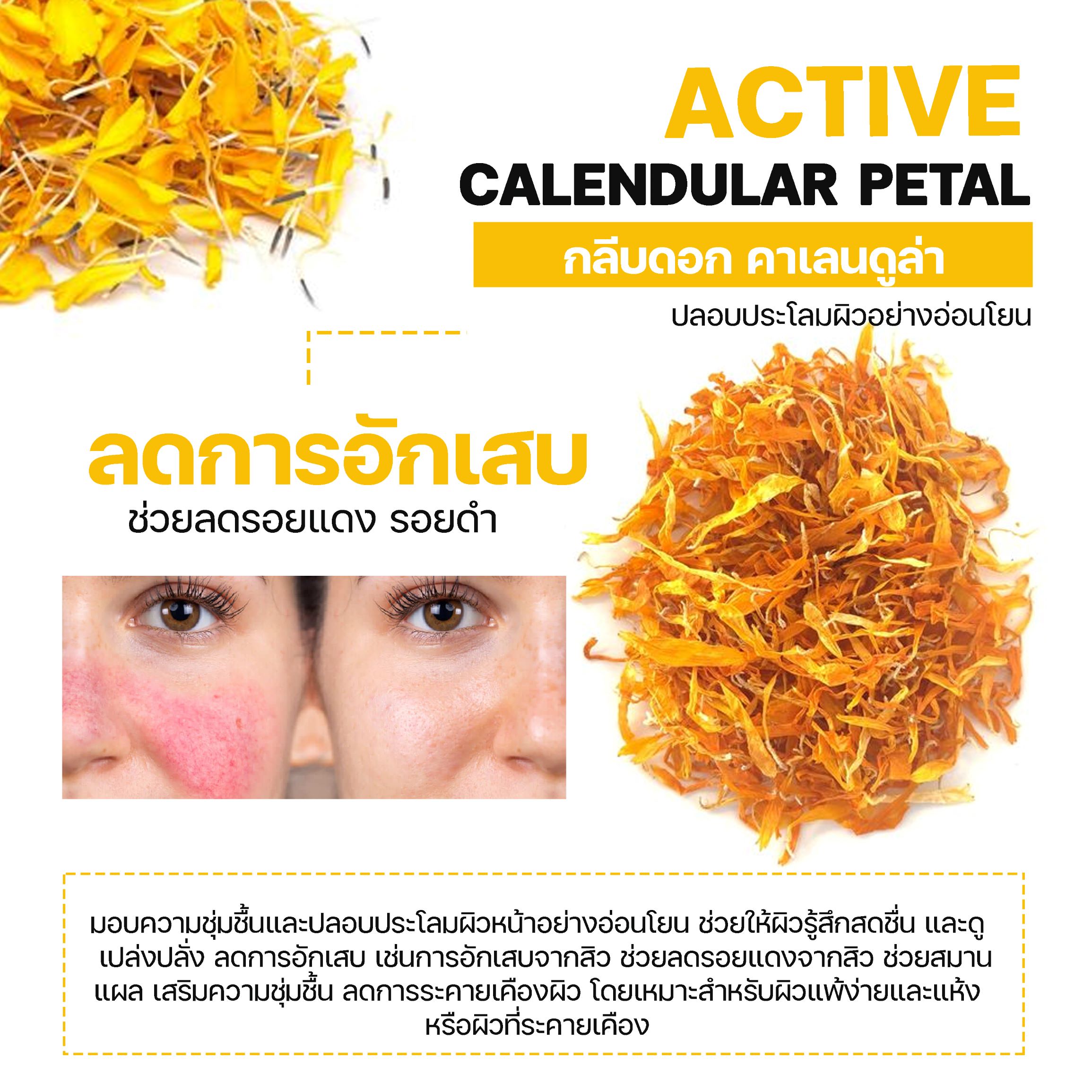 cadendula extract