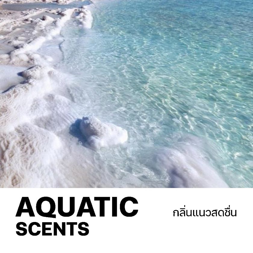 ผลิตน้ำหอมแนวสะอาด