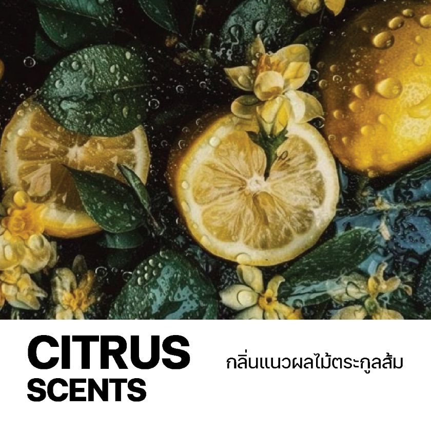 ผลิตน้ำหอมกลิ่นซีตรัส